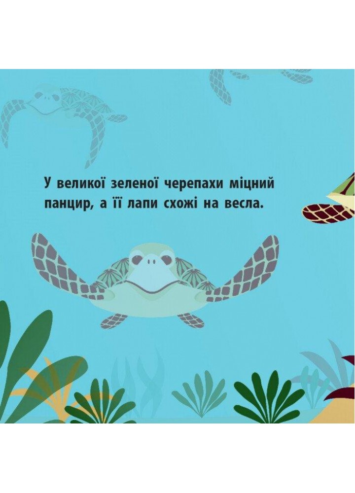 Познайомся з нами: Морський народ - РАНОК