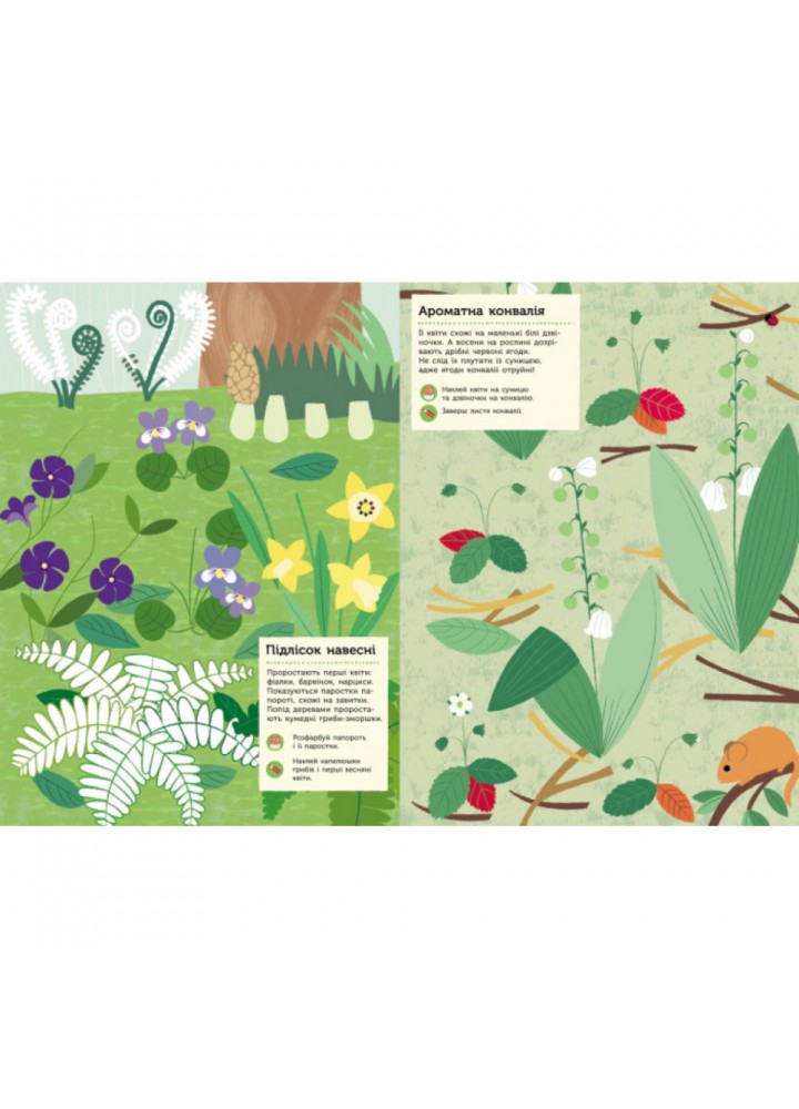 У лісі. Моя книга природи. Косно О. 9786170940971 У лісі. Моя книга природи. Косно О. 9786170940971