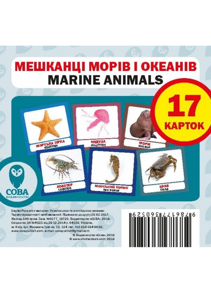 Комплект «Мої перші слова. Зелений». Більше 80 карток. 9786177693467