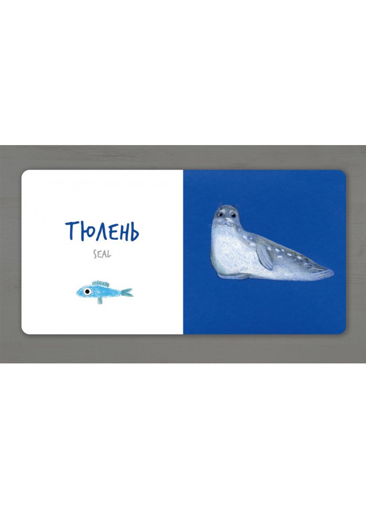 Збери веселку. Морські тварини - Таберко Катерина - АРТБУКС (120525)