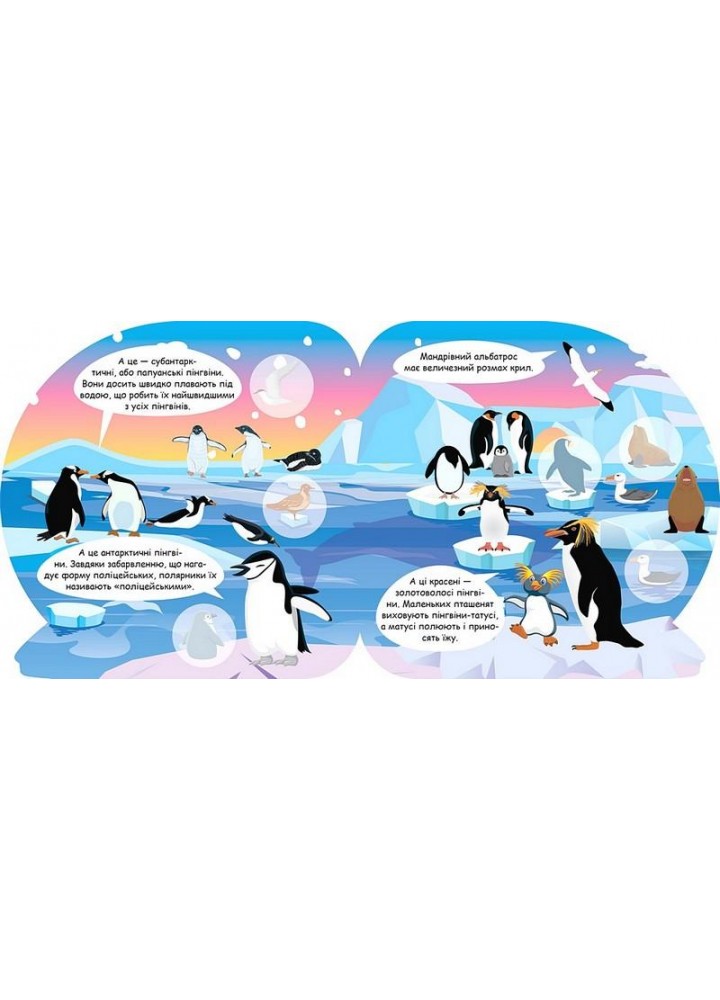 Пізнавальні наліпки Тварини Антарктиди - Алліна О. Г. - ТОРСІНГ (106976) Пізнавальні наліпки Тварини Антарктиди - Алліна О. Г. - ТОРСІНГ (106976)