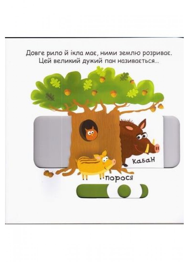 Сторінки-цікавинки. Тварини в лісі - ШКОЛА