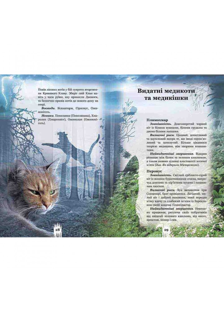 Коти-вояки. Таємниці Кланів. Путівник по серії. Гантер Е. 9786177660278