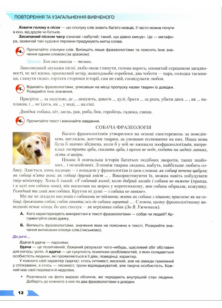 Українська мова, 8 кл., Підручник - Авраменко О. М. - Грамота (107496)