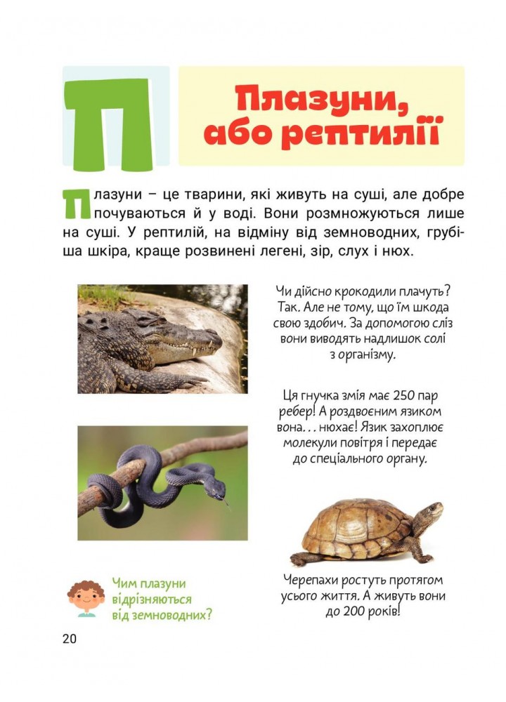 Класна абетка. Тварини - Буглак Ю.Г. - ЛІТЕРА
