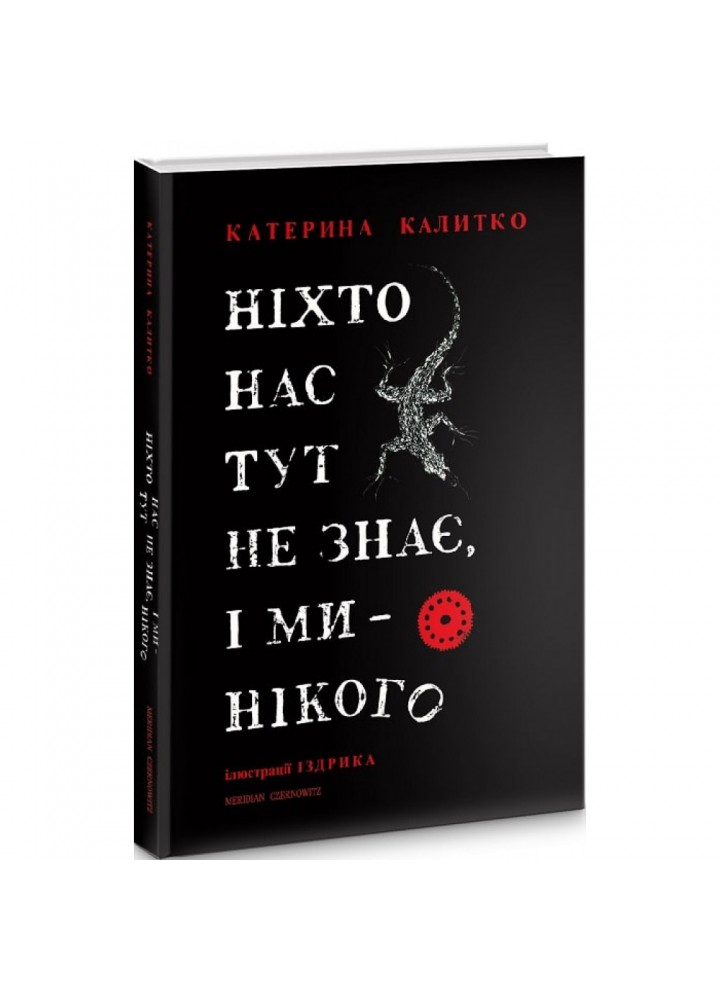 Ніхто нас тут не знає, і ми нікого. Калитко К. 9786178024321