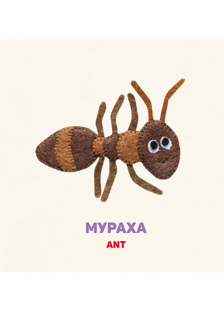 У траві. In the grass. - Забара О. - ВСЛ (124748)
