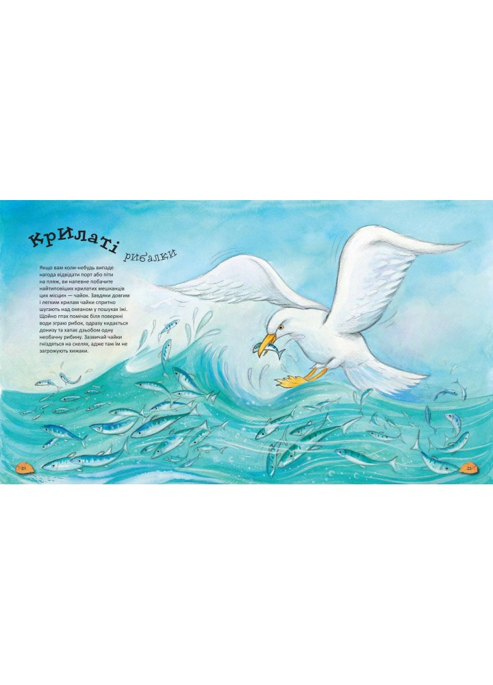 Дивовижі тваринного світу. - Алехандро Альґара- Школа (106433)