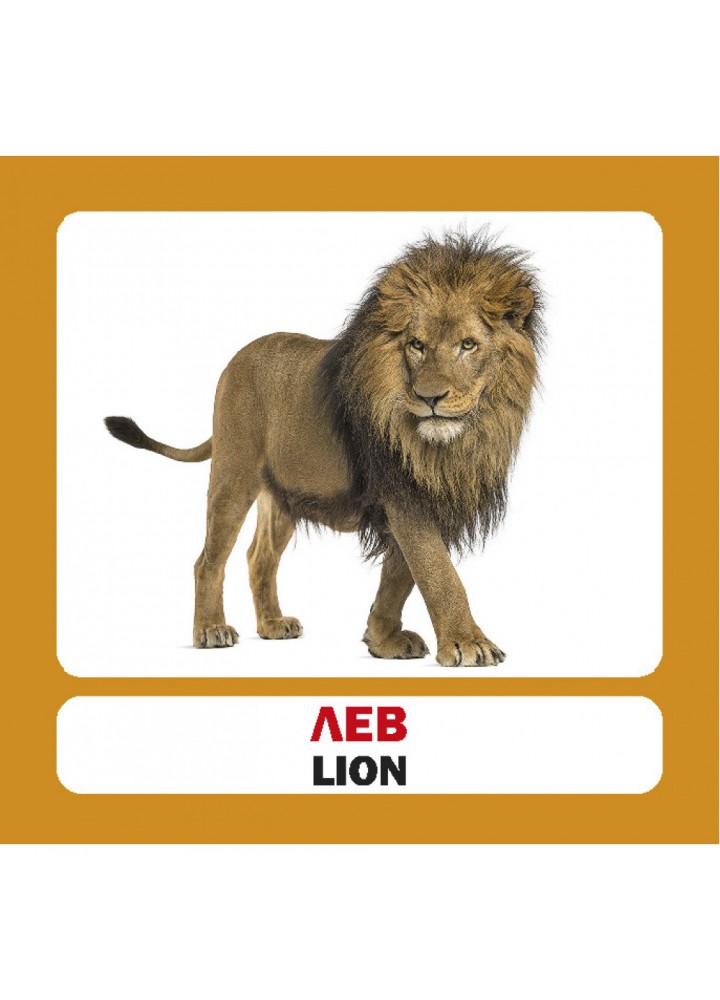 Дикі тварини. Wild Animals. 17 карток. 9786177360239