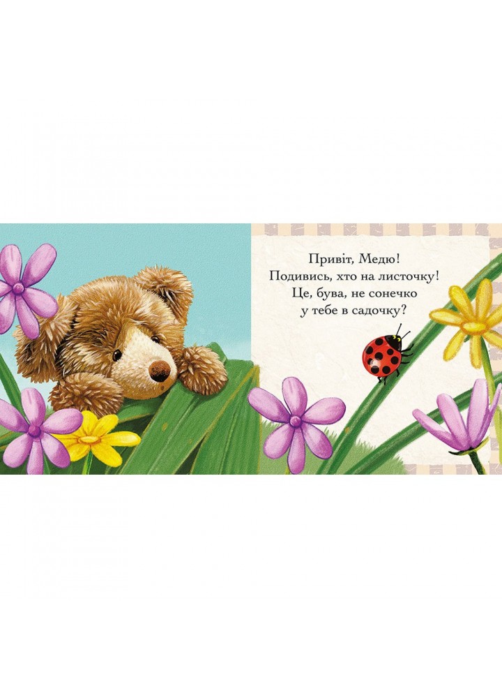 Пригоди ведмедика Меді. Малюємо сонечко. Книга 1. Геррі Флемінг. 9786177385515