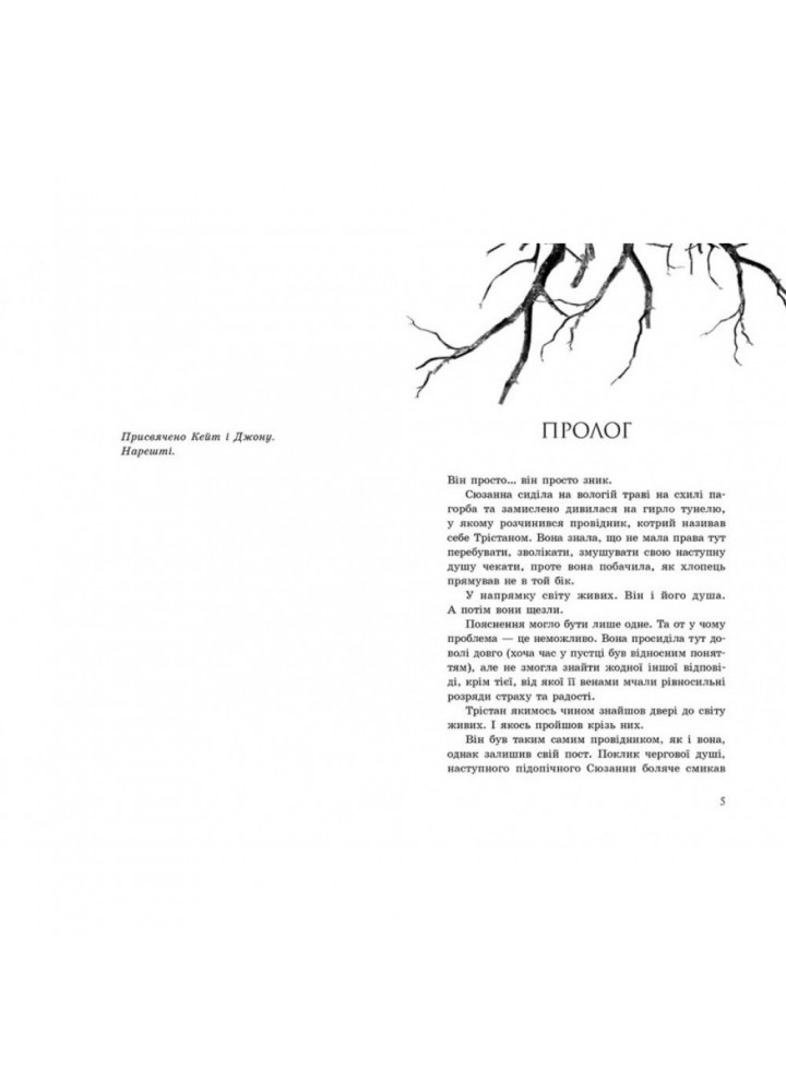 Порушники. Книга 2. Мак-Фолл К. 9786170972675