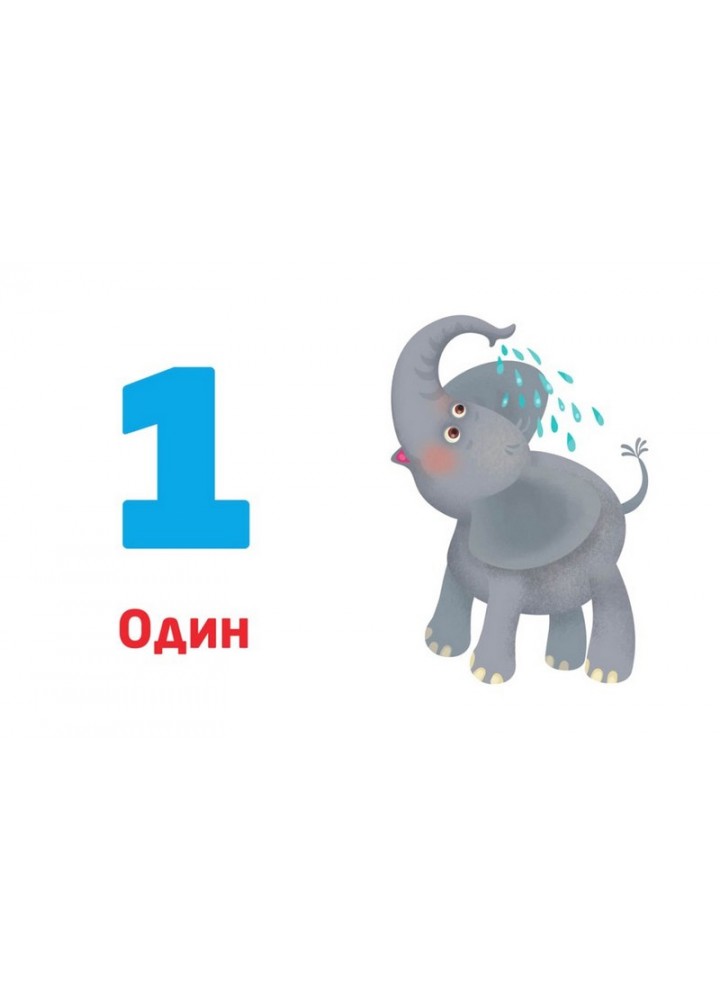 Багаторазові прописи. Цифри та числа / КЕНГУРУ