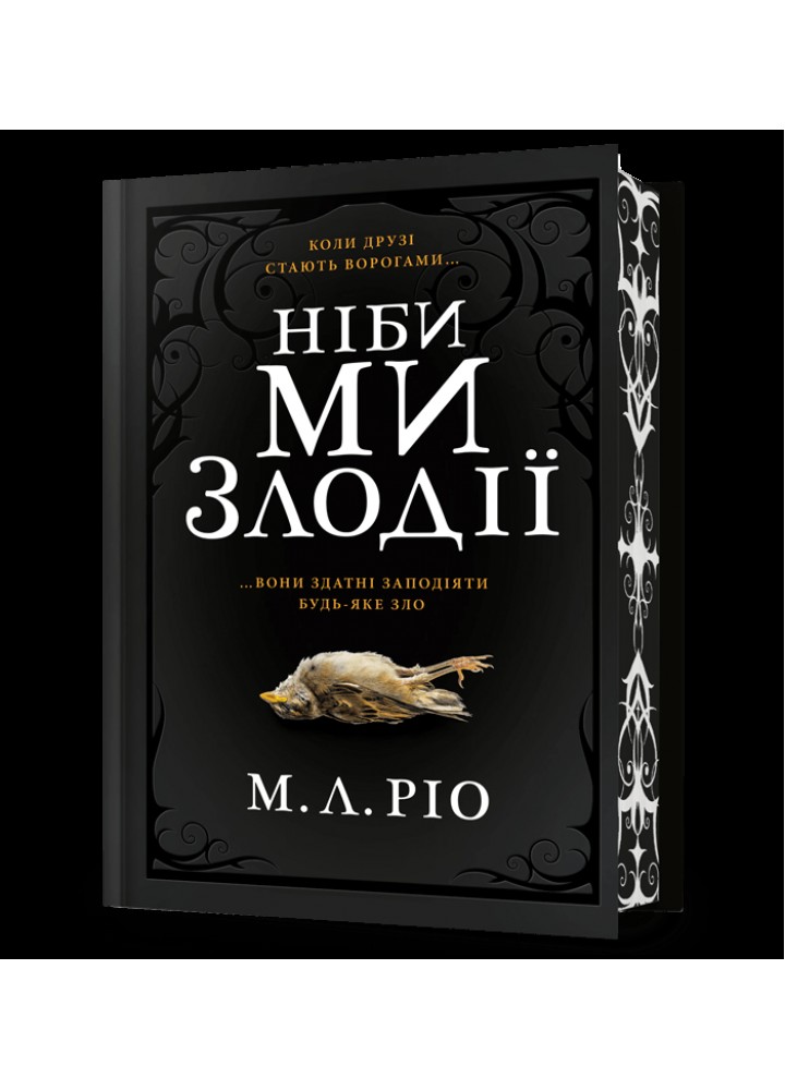 Ніби ми злодії LIMITED EDITION - Ріо М.Л. - АРТБУКС (122333)