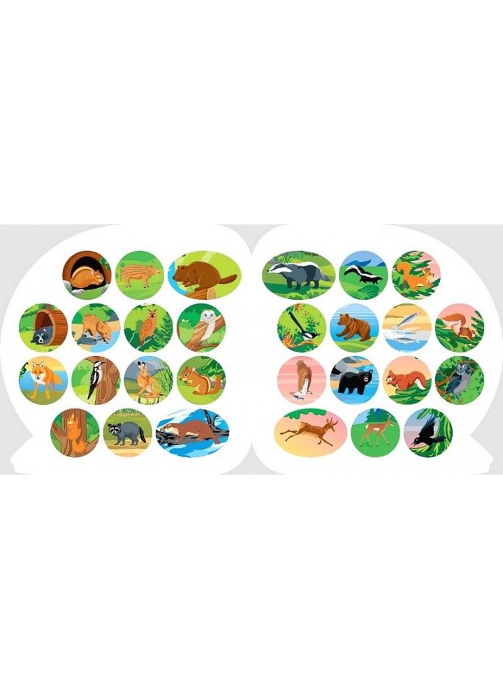 Пізнавальні наліпки Тварини Північної Америки - Алліна О. Г. - ТОРСІНГ (106980) Пізнавальні наліпки Тварини Північної Америки - Алліна О. Г. - ТОРСІНГ (106980)