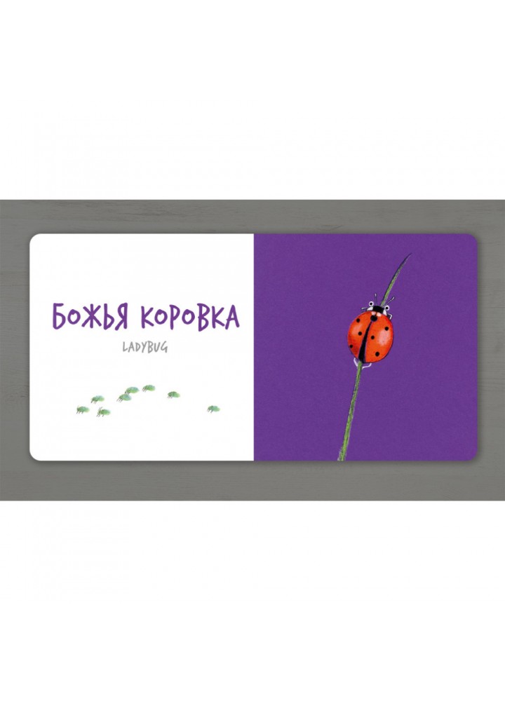 Збери веселку. Комахи. Таберко К. 9786177395163