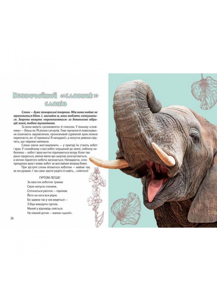 Вусохвості й лапокрилі. Читанка про тварин. Верховень В.М. 9789669359483 Вусохвості й лапокрилі. Читанка про тварин. Верховень В.М. 9789669359483