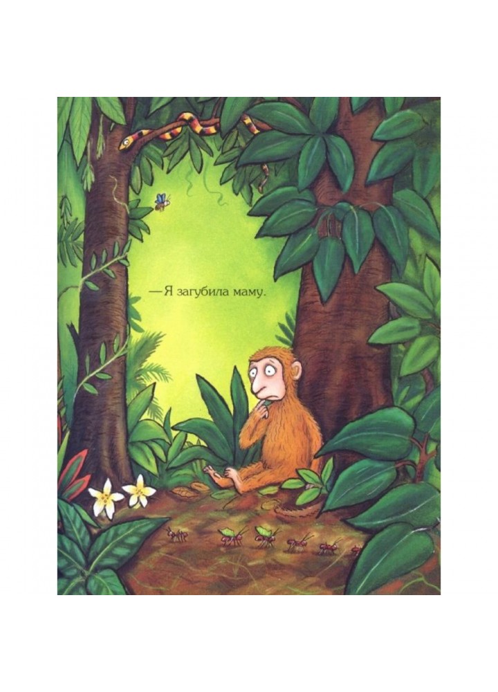 Де моя мама? Дональдсон Дж. 9789669745934