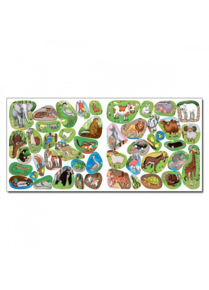 Хто де живе. Тварини світу. Зелена. 9786175367124 Хто де живе. Тварини світу. Зелена. 9786175367124