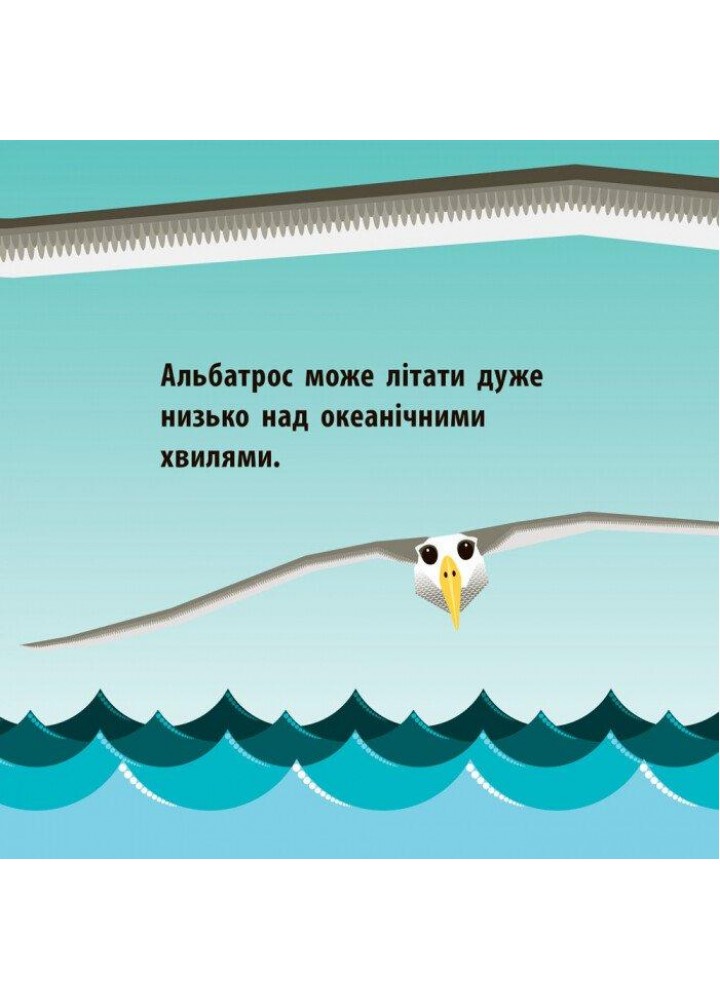 Познайомся з нами: Повітряний екіпаж / РАНОК