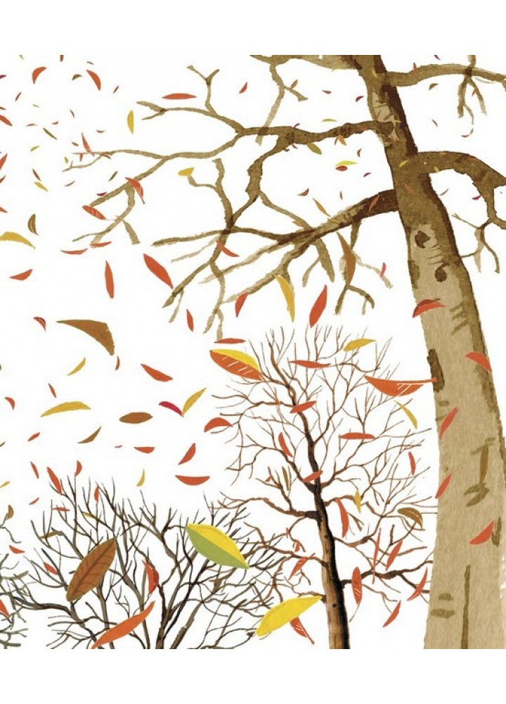 Чистьоха - Емілі Граветт - ЧИТАРІУМ Чистьоха - Емілі Граветт - ЧИТАРІУМ