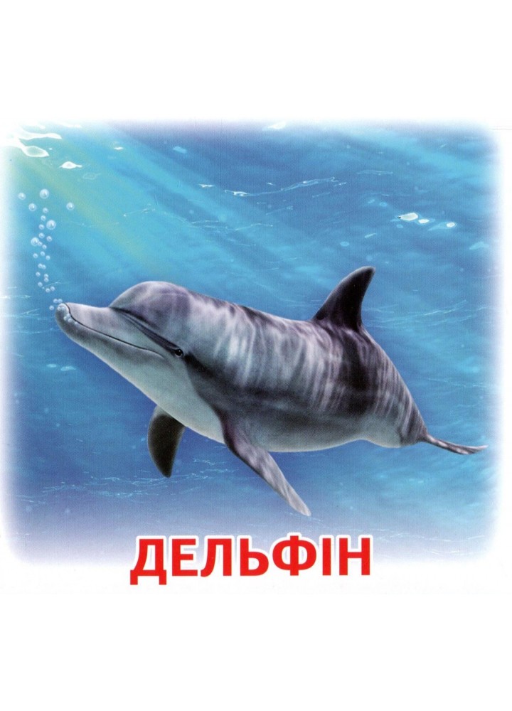 Картки-міні. Жителі морів та океанів; демонстраційний матеріал 10107174У - ОСНОВА (121923)