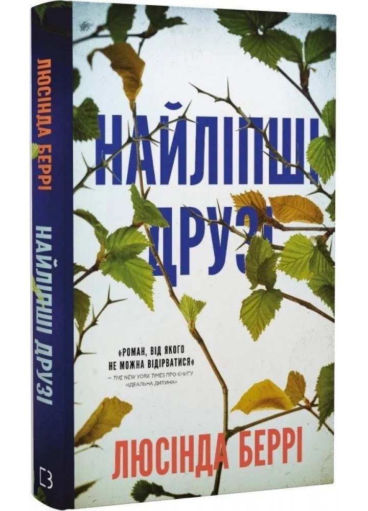 Найліпші друз-Люсінда Беррі- BOOK CHEF