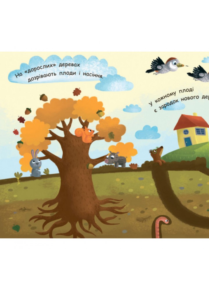 Як виростає дерево? Моя перша енциклопедія. Конопленко І.І. 9789667488291 Як виростає дерево? Моя перша енциклопедія. Конопленко І.І. 9789667488291