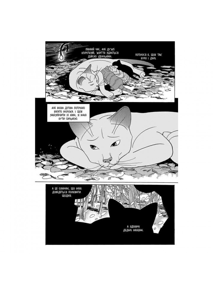 Коти-вояки. Манґа 7. Тигрозір і Саша. Повернення до Кланів. Гантер Е. 9786178229351