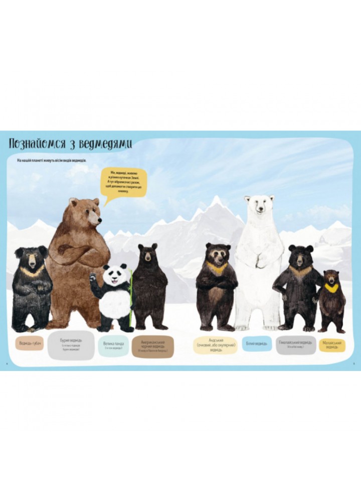 Ведмежа книга. Віггерс К. 9786177579624 Ведмежа книга. Віггерс К. 9786177579624