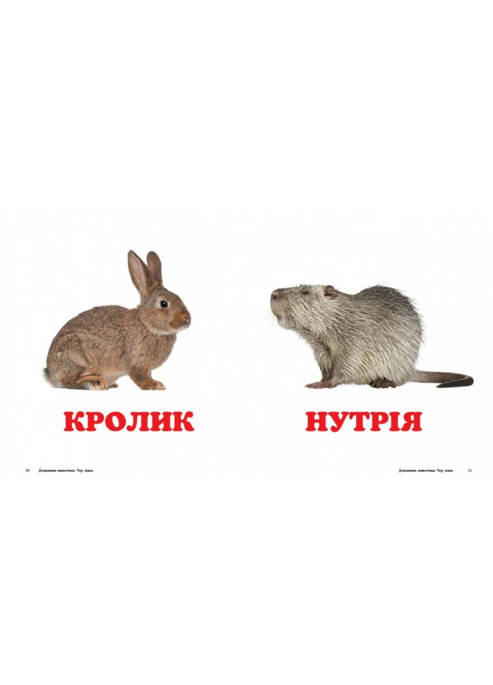 Навколишній світ для найменших. Свійські тварини. / ПЕГАС