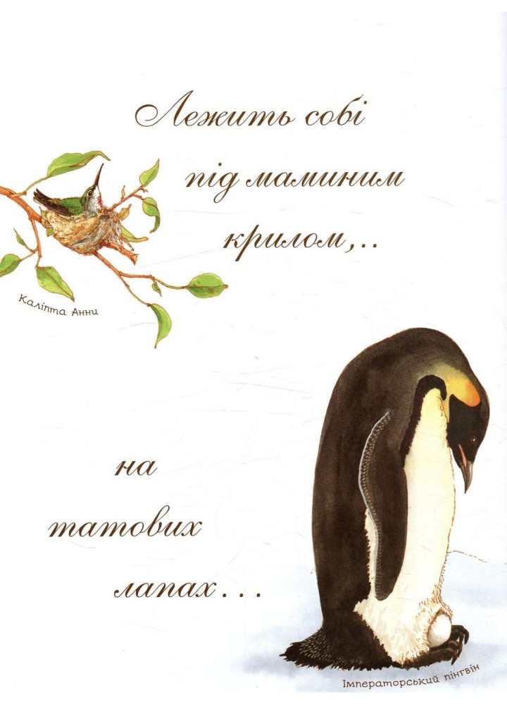 Яйце безмовне - Астон Гуттс Діанна - БОГДАН Яйце безмовне - Астон Гуттс Діанна - БОГДАН