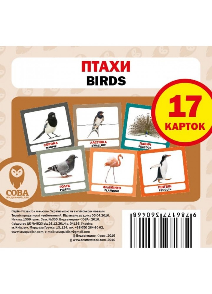 Комплект «Мої перші слова. Зелений». Більше 80 карток. 9786177693467