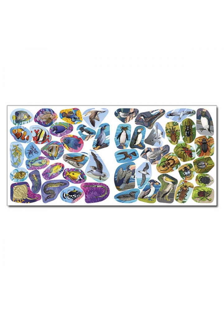 Хто де живе. Тварини світу. Помаранчева / ГЛОРІЯ Хто де живе. Тварини світу. Помаранчева / ГЛОРІЯ