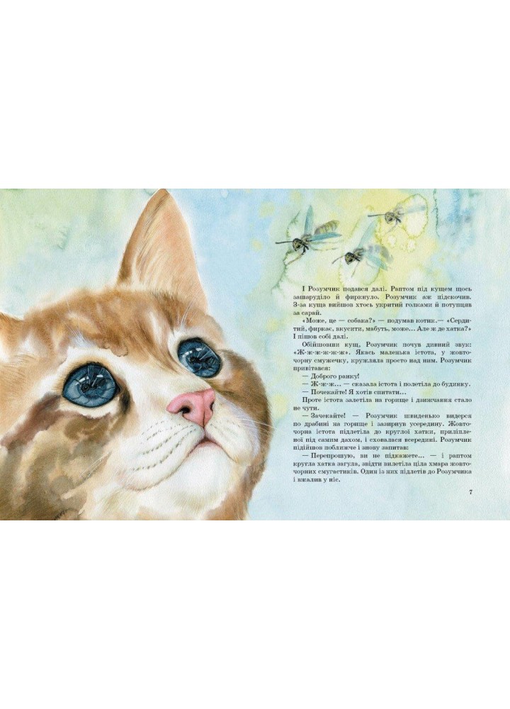 Коти. Такі, як ти - Марія Козиренко - РАНОК