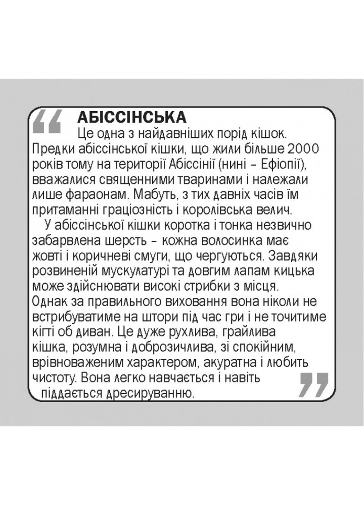 Коти. Cats. 17 карток. 9789669751874