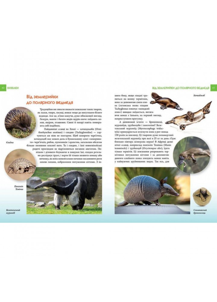 Хижаки. Гапченко А.В. 9789669355874