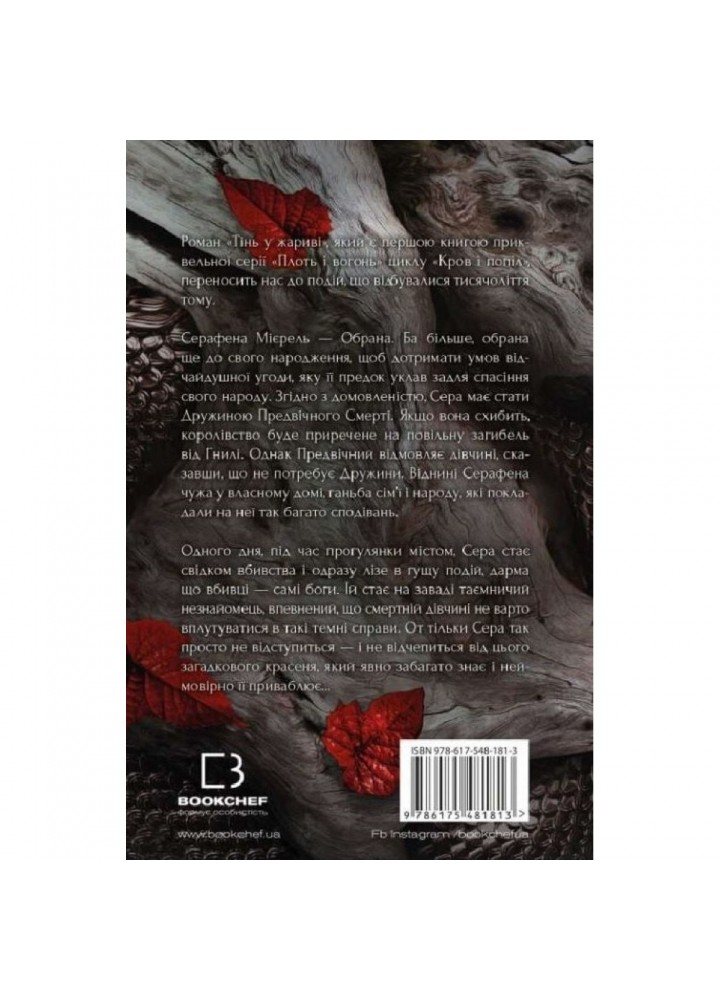 Плоть і вогонь. Книга І. Тінь у жариві. Арментраут Дж. 978-617-548-181-3