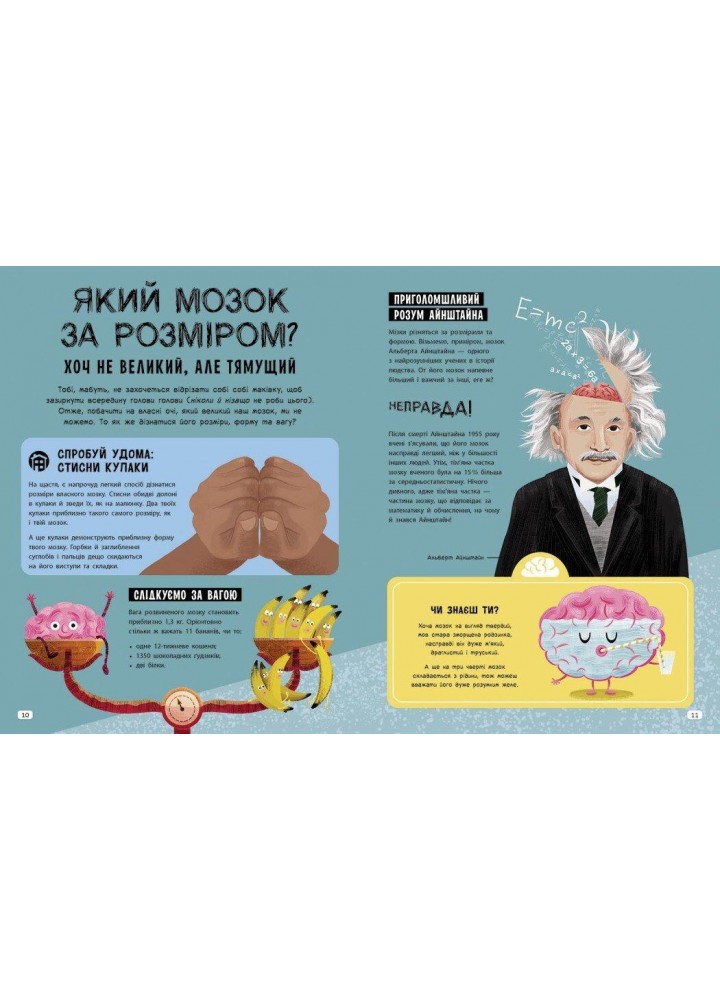 Ця книжка повна мізків: усілякі мізки та як вони працюють / Кеннінгтон Т. / РАНОК Ця книжка повна мізків: усілякі мізки та як вони працюють / Кеннінгтон Т. / РАНОК