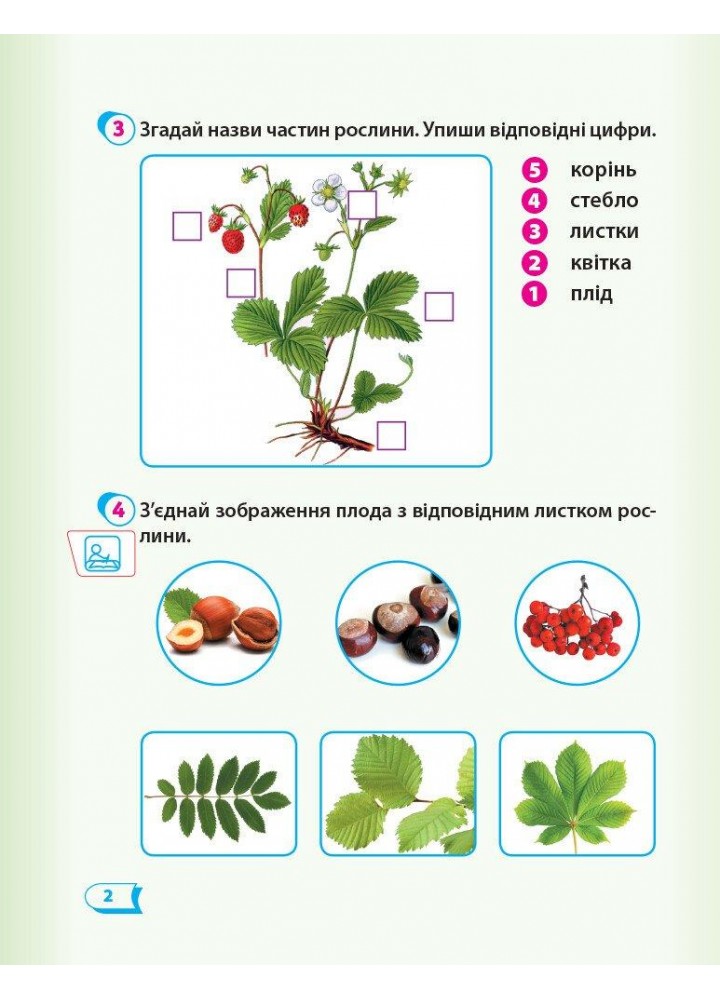 Я досліджую світ, 1 кл., Робочий зошит у 2-х ч. (до підруч. Гільберг, Тарнавської) Ч. 2 - Назаренко А.А. -