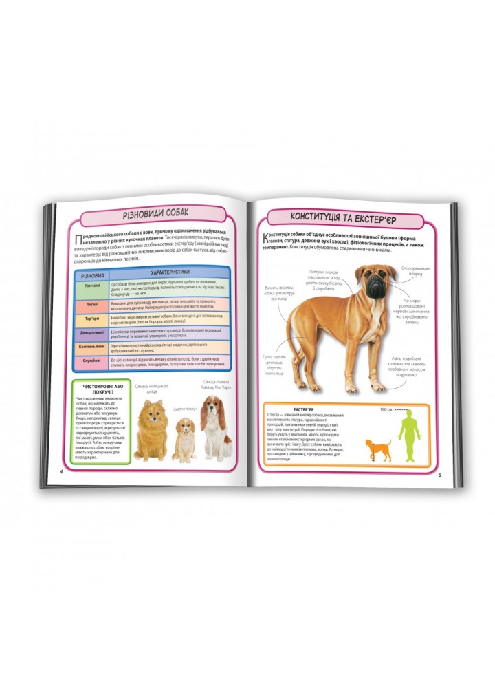 Собаки. Міні-енциклопедія. 978-966-948-296-9 Собаки. Міні-енциклопедія. 978-966-948-296-9