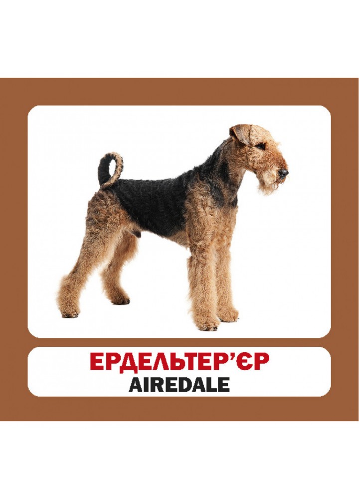 Собаки. Dogs. 17 карток. 9789669751867