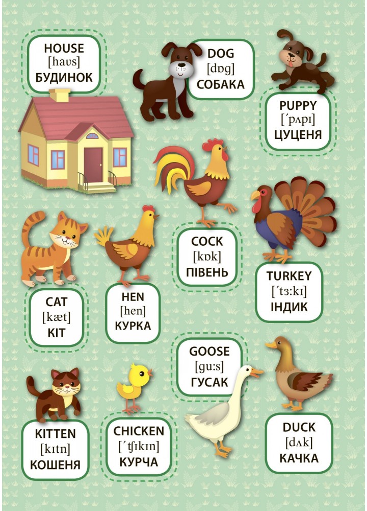 Перші слова. Свійські тварини. Domestic Animals - Смирнова К. В. - УЛА (104813)
