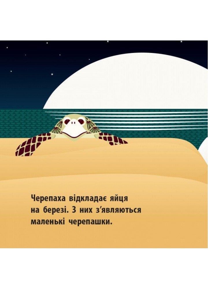 Познайомся з нами: Морський народ - РАНОК