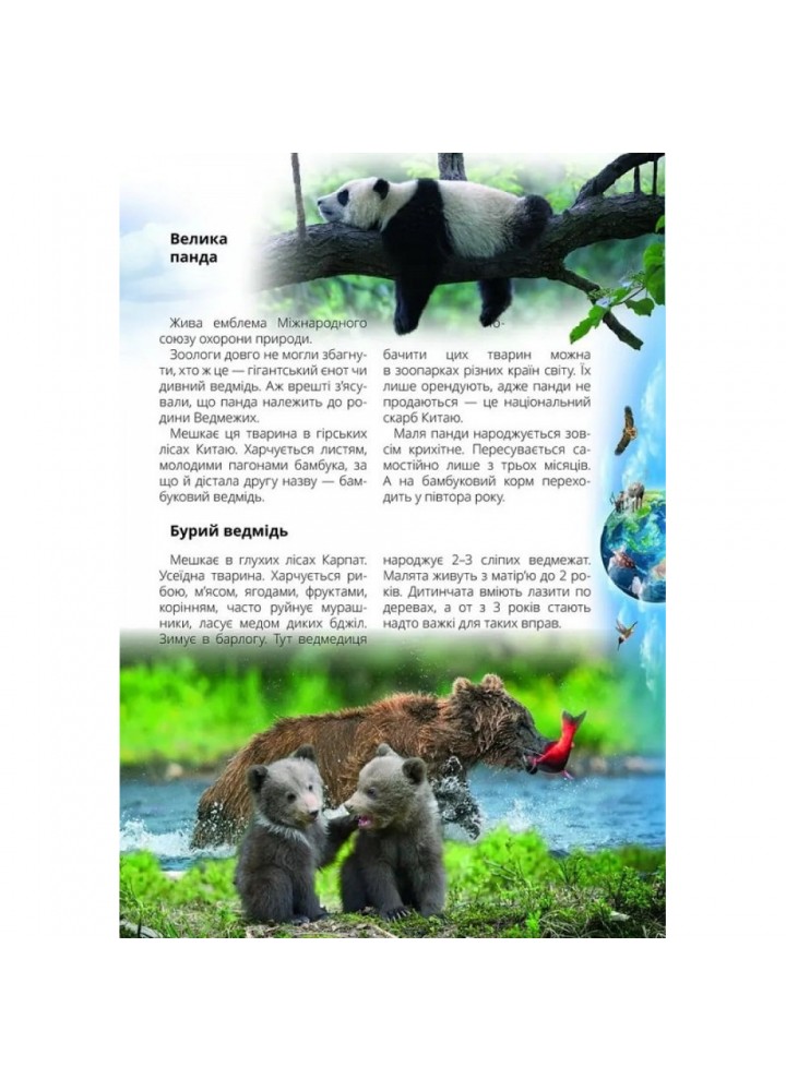 Про все на світі маленьким українцям. Шаповалова К. 9789669890450