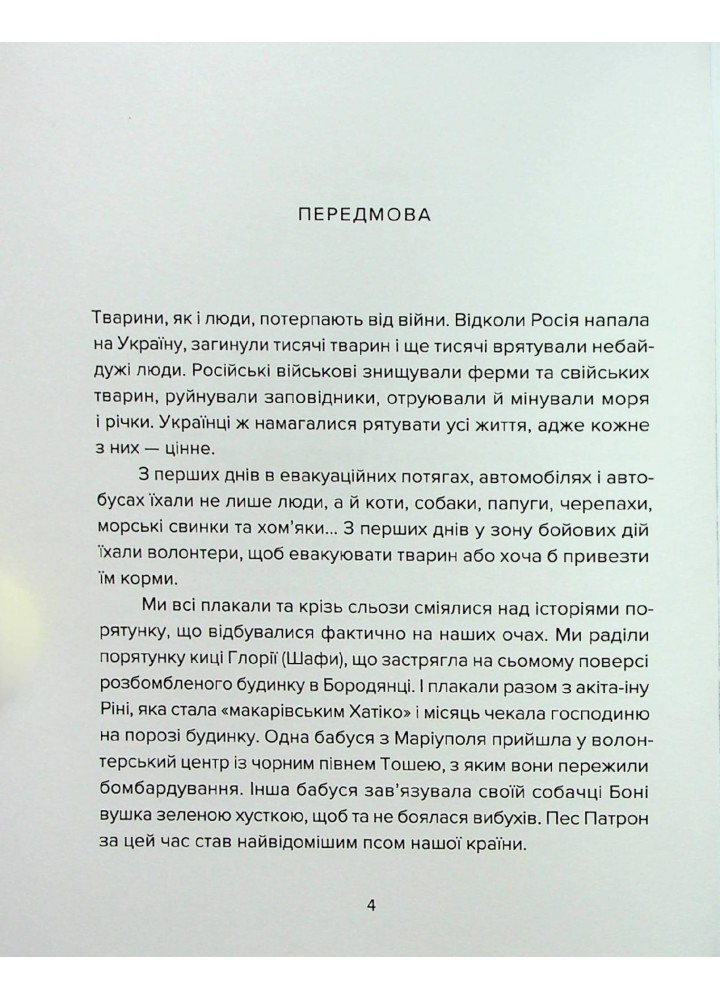 Єнот Ракета та інші герої - Завалій Є. - ВСЛ (124030)