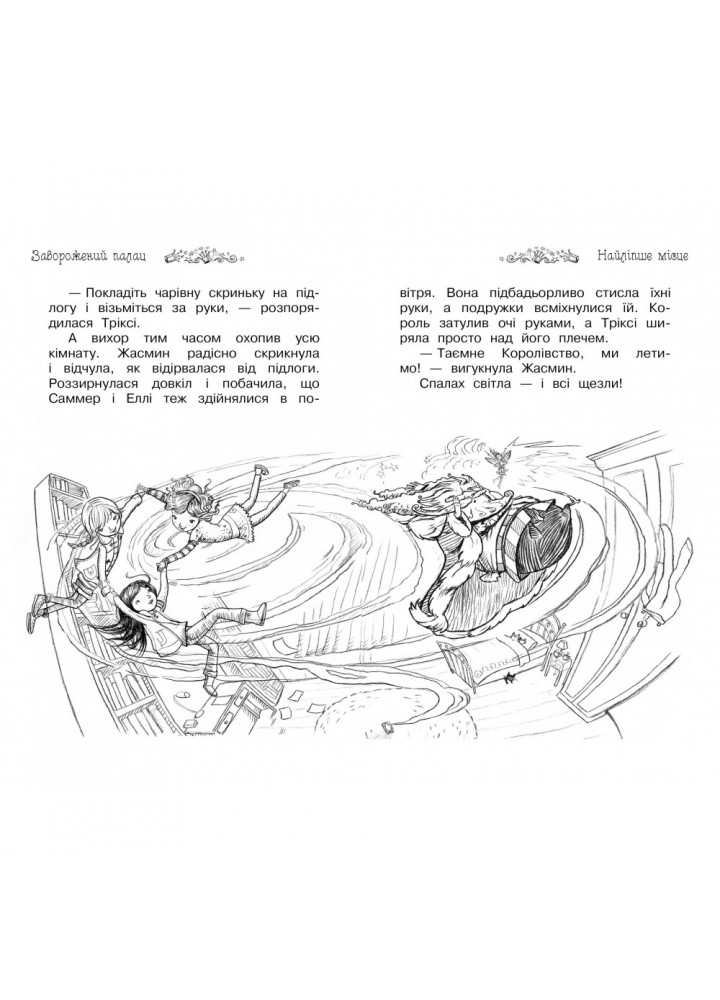 Таємне Королівство. Заворожений палац. Книга 1. Бенкс Роузі. 978-966-917-068-2