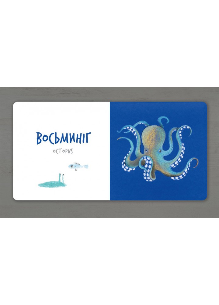 Збери веселку. Морські тварини - Таберко Катерина - АРТБУКС (120525)