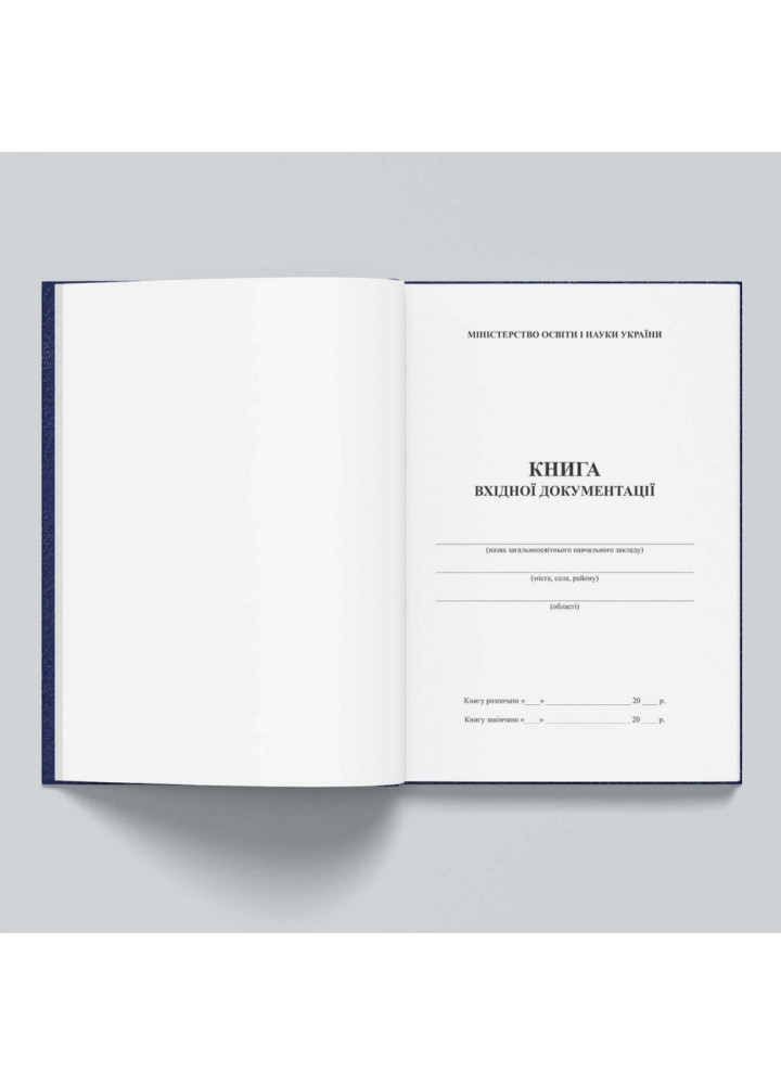 Книга вхідної документації (238801)
