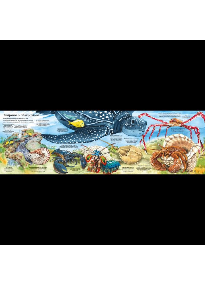 Велика книга морських мешканців. Лейсі М. 9786177940172