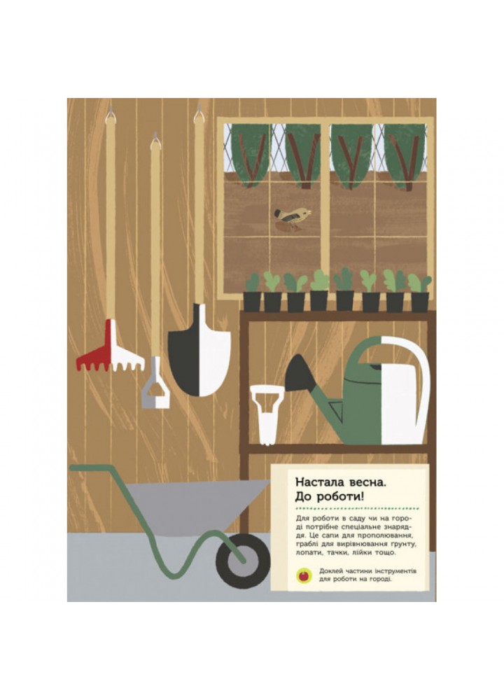 На городі. Моя книга природи. Косно О. 9786170940995